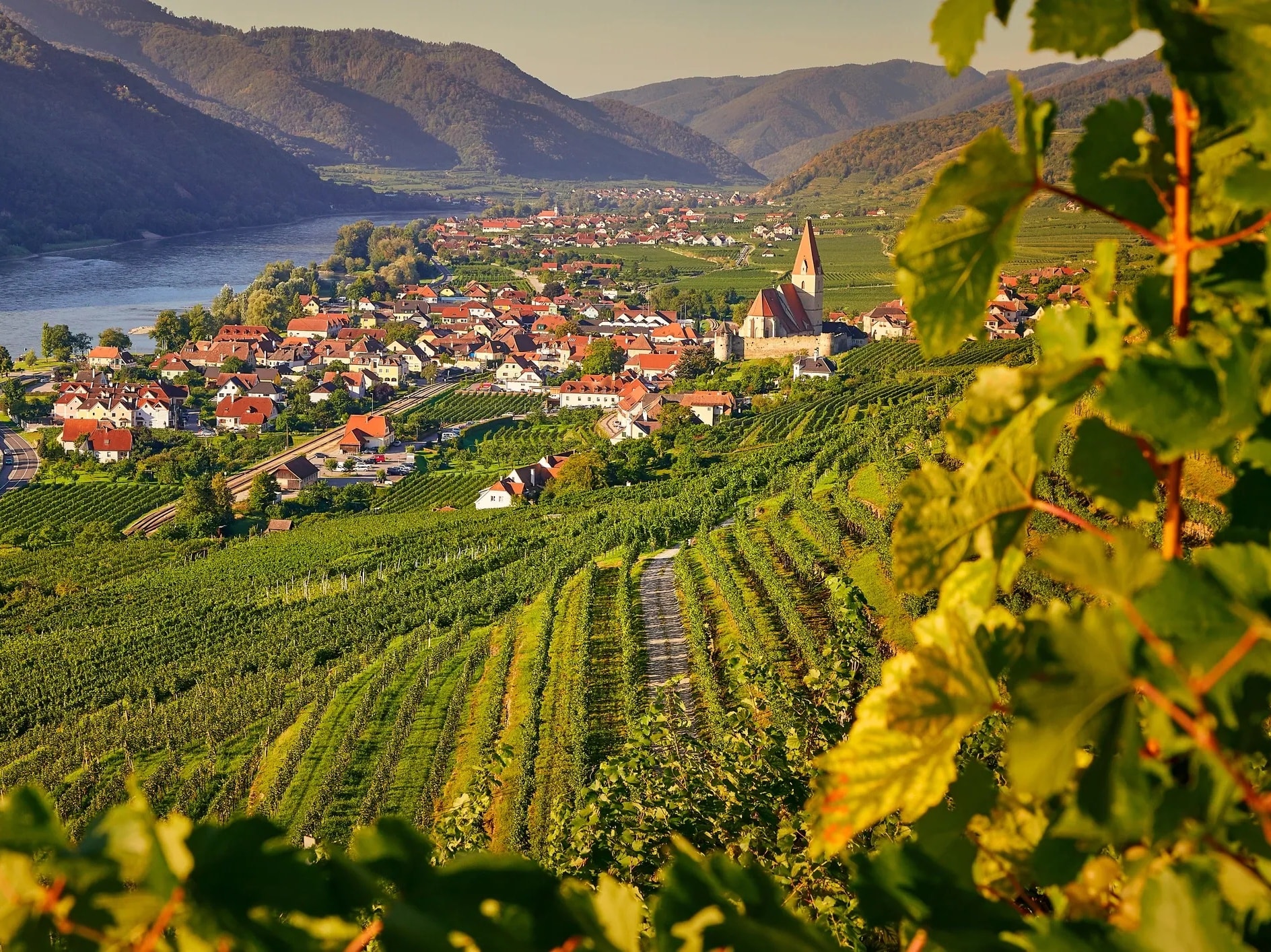 Wachau Valley Austria Danube river vineyard monastery