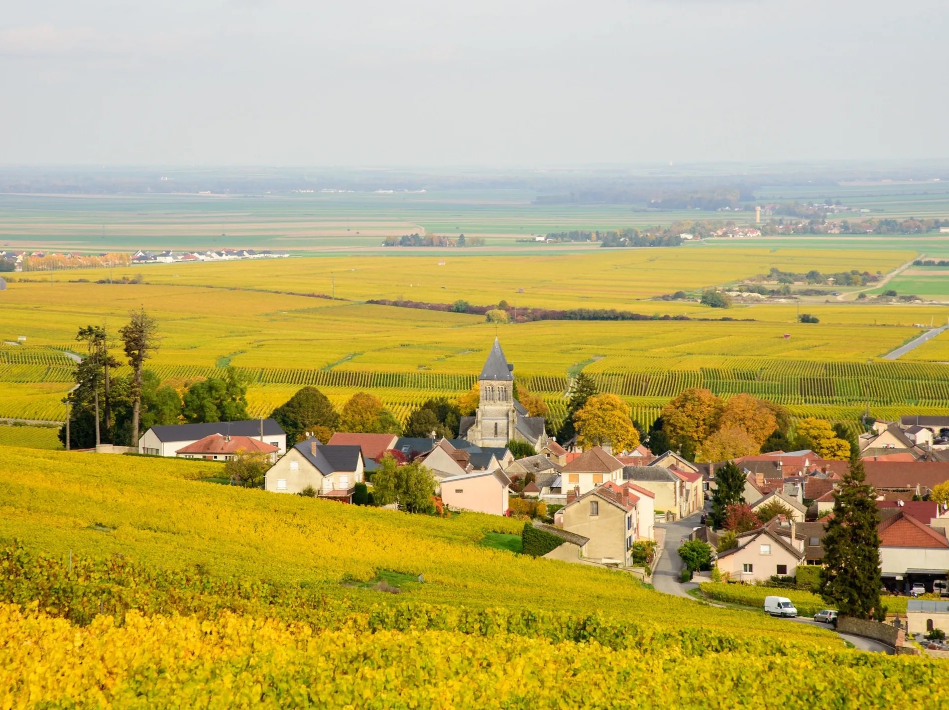 Champagne region France vineyard village autumn golden