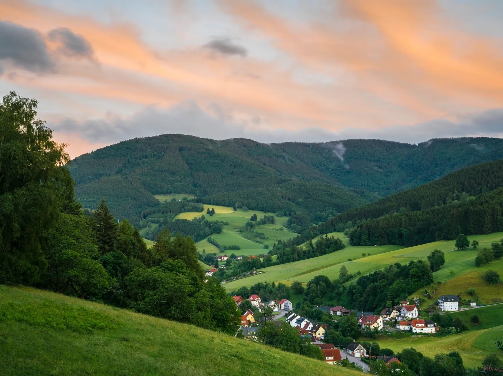 Black Forest Germany pine forest hills valley