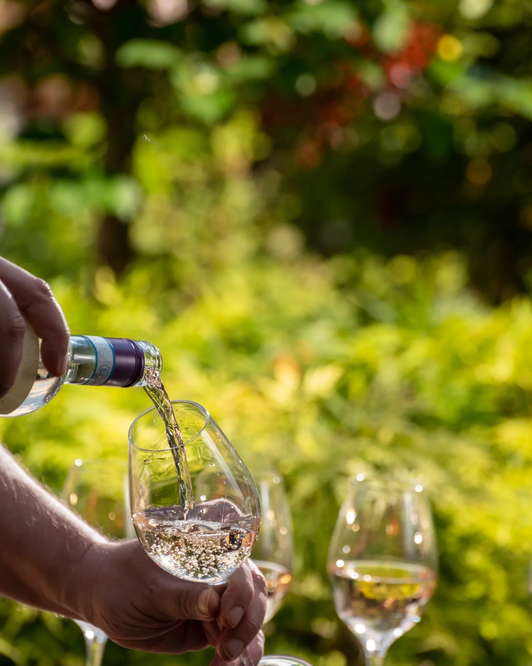 Private wine tasting at an Italian vineyard