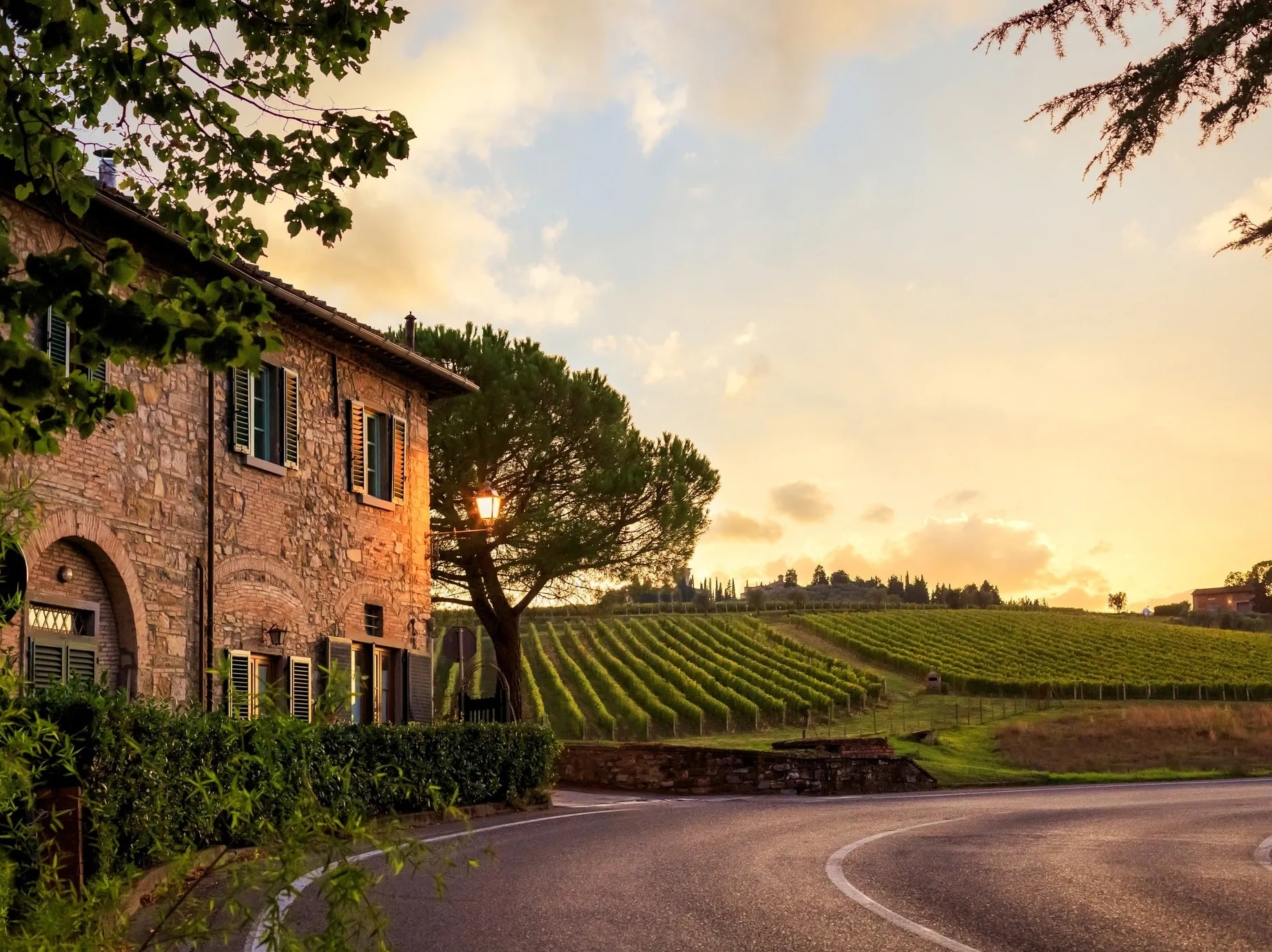 Stone farmhouse surrounded by vineyards in the Italian countryside